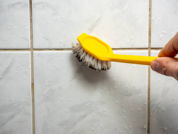 Best Office Mold Removal Services  in Norco, CA