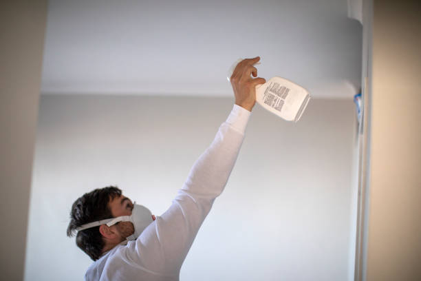 Best Home Mold Removal  in Norco, CA