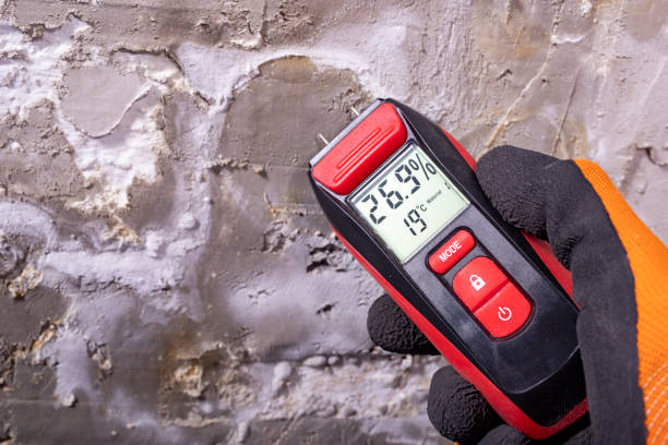 Norco, CA Mold Removal Company