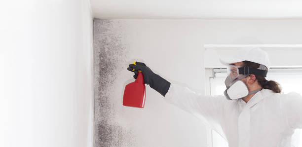 Best Fast Mold Removal  in Norco, CA