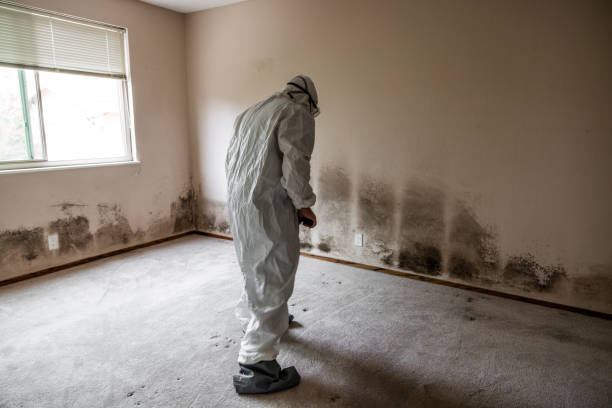 Best Mold Testing  in Norco, CA