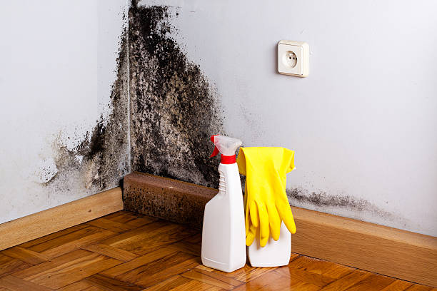 Crawl Space Mold Removal in Norco, CA